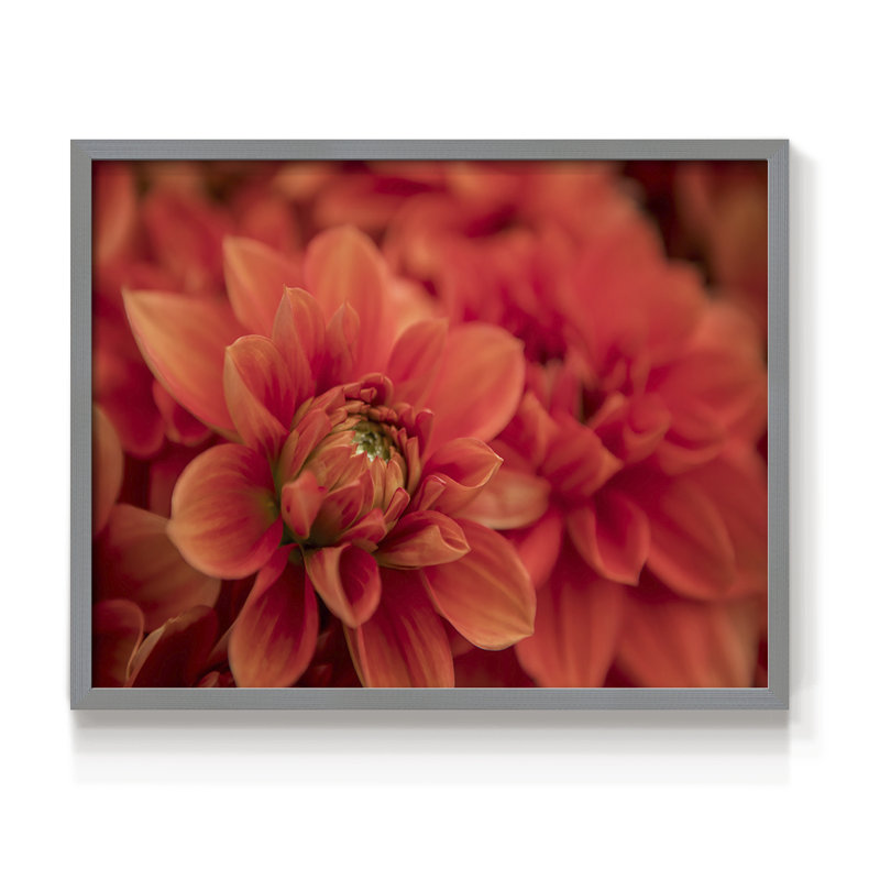 Spring Fire -Framed Print - Restickable, 11" H x 14" W, Gray