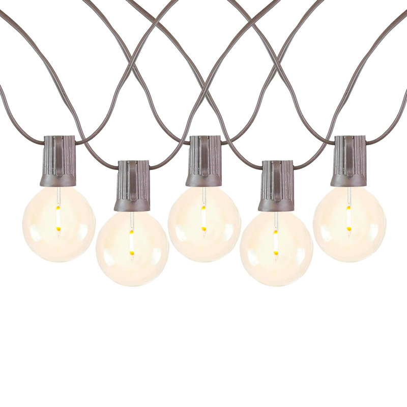 Doyne Outdoor 25 - Bulb 25'' Plug-in LED Globe String Light, Brown