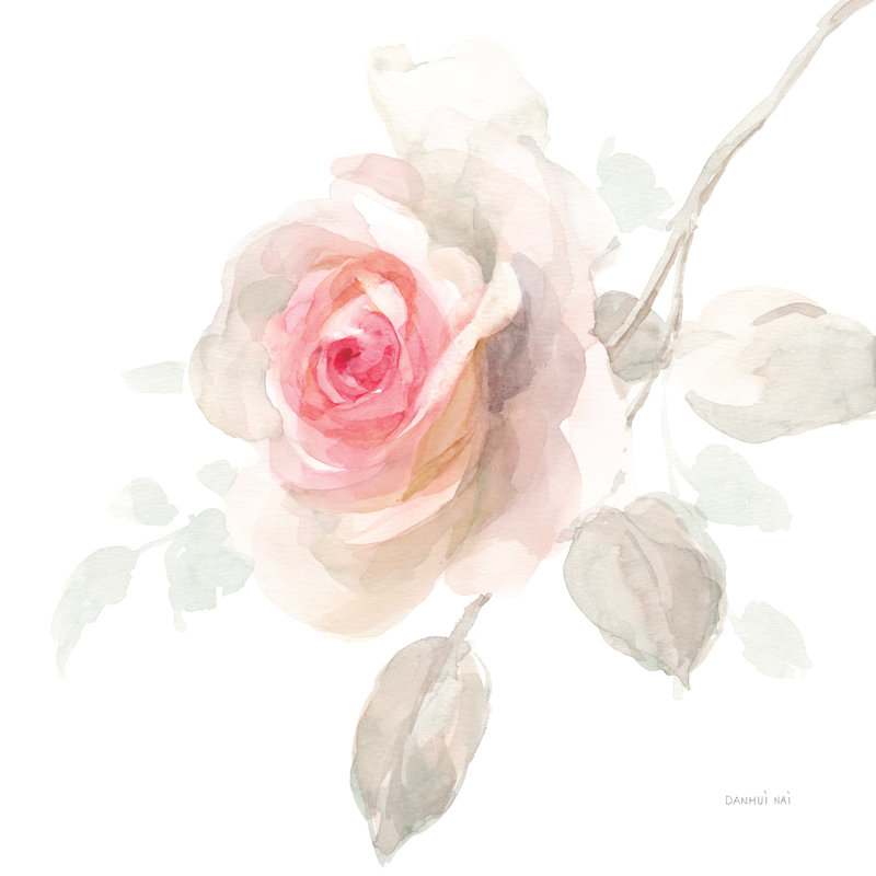 Gentle Rose II by Danhui Nai - Wrapped Canvas Painting, 76cm H x 76cm W