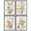 «Wild Floral Botanical Rustic Artwork, encadré, impression, affiche, petit art mural de salle de bain», 4 pièces-101825640-101825642