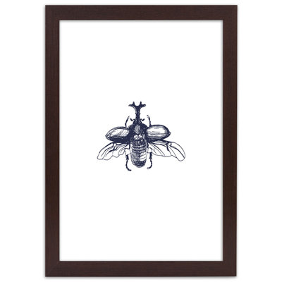 Beetle Insect - Single Picture Frame Print