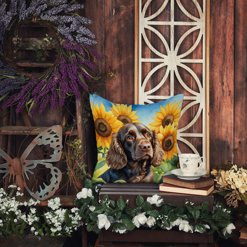 Other/No Pattern Indoor/Outdoor Throw Pillow, 14"H x 14"W