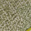 Anikha Square Throw Cushion Covers-1248073725-1250548451