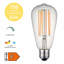 7 W 2700 K LED Smart Bulb
