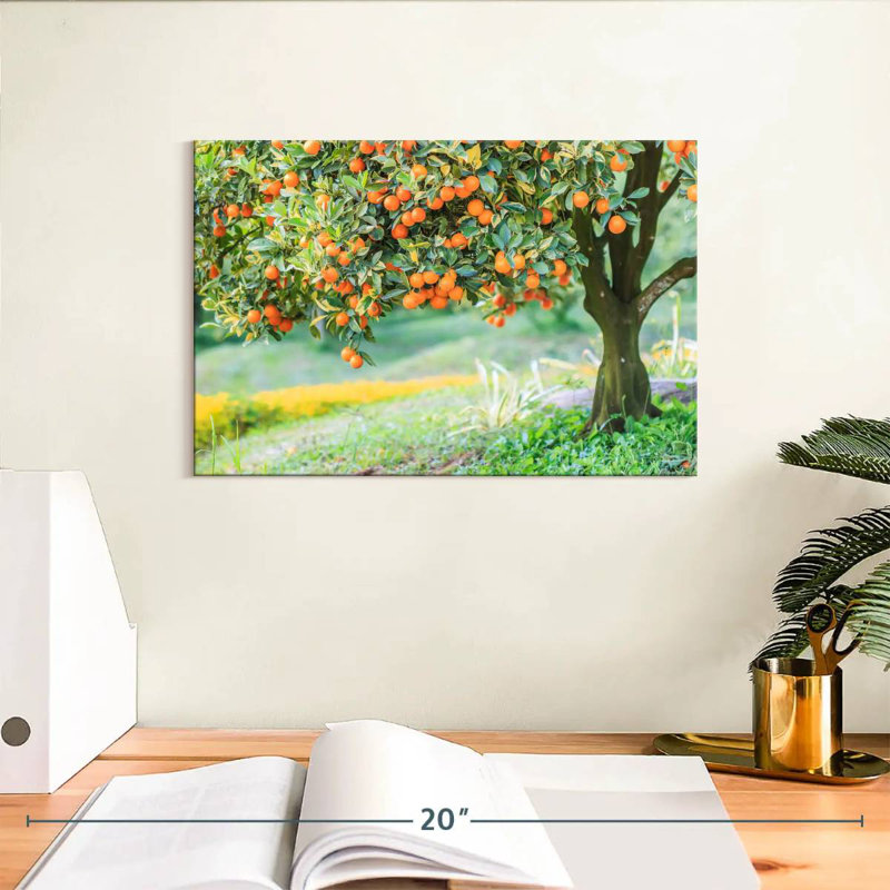 Harnek Orange Tree, 8" H x 12" W