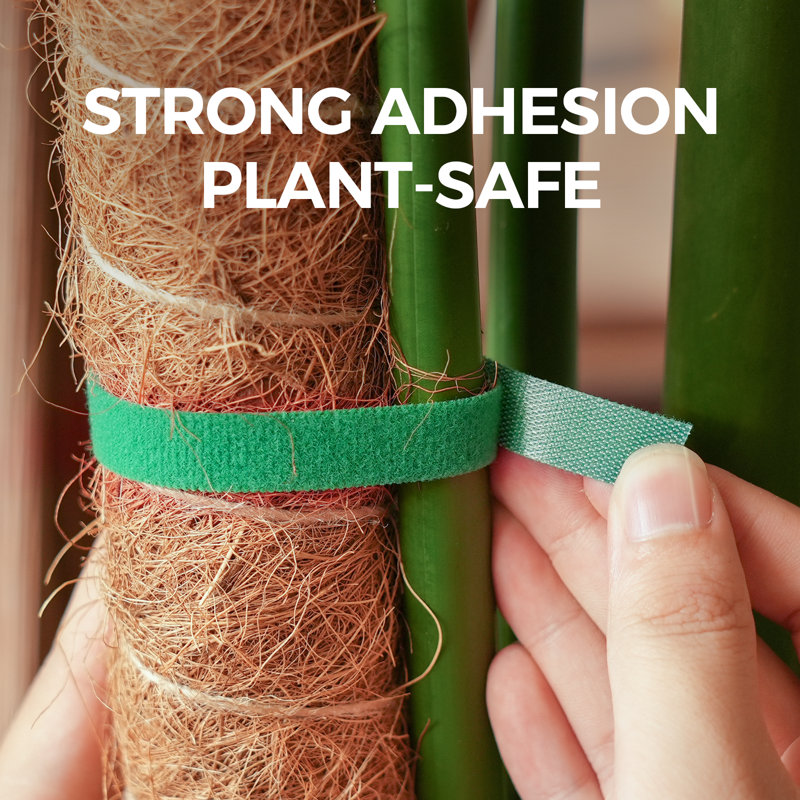 Garden Plant Ties for Climbing Plants, Reusable Adjustable Twist Ties for Indoor & Outdoor Plant Support, Grafting & Growing Accessories