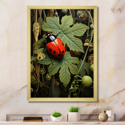 " Ladybug Ladybugs Leisure "