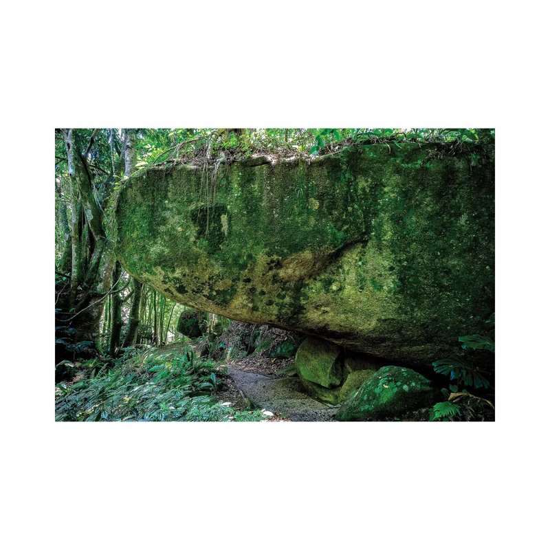 Tropical Forest X 1 Piece Wrapped Canvas Wall Art, 20.32cm H x 30.48cm W x 1.9cm D