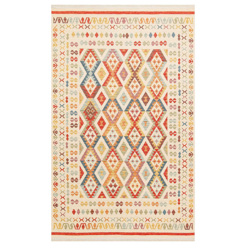 Luxueux tapis 100% coton 31,5 po x 59,1 po | Sans velours, tissage à plat, 1,8 lb / pi² | Lavable à la machine à 86 ° F, facile d'entretien | Parfait pour le salon, la chambre à coucher et la salle à manger | Conception élégante et durable