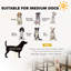 Steel Exercise Pen-110489384