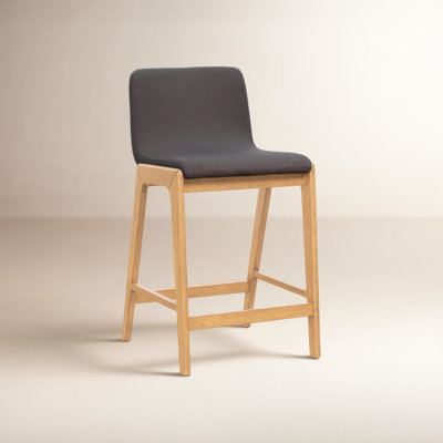 Tolan 25" Bar Stool