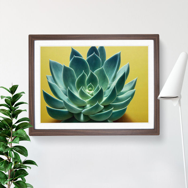Splendorous Succulent Plant - Framed Print, 46cm H x 64cm W x 2cm D, Walnut