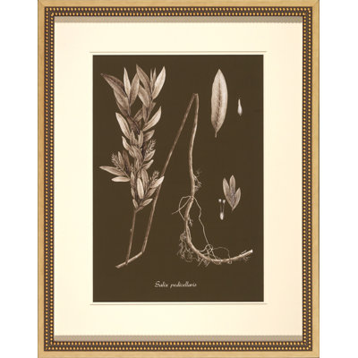 Sepia Leaves On Chocolate III Painting
