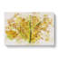Veins of the Leaf - Wrapped Canvas-56661488