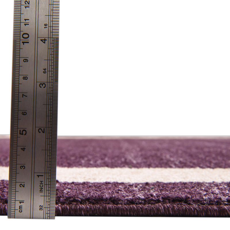 Breakwater Bay Songul Rug & Reviews | Wayfair