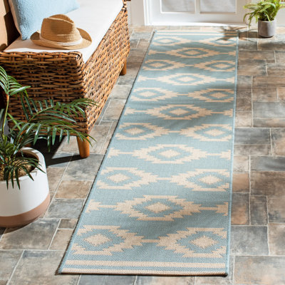 Devito Southwestern Indoor/Outdoor Area Rug