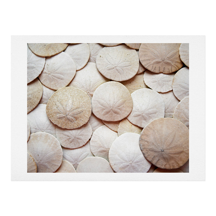 « bijoux of the sea », reproduction d’impression, H 11 po x l 14 po x P 1 po