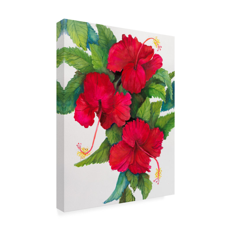 «Botanical Collection Florida Hibiscus» par Joanne Porter, impression sur toile tendue, H 19 po x l 14 po x P 2 po
