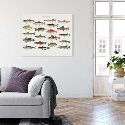 " American Fish " Painting Print