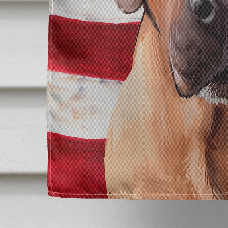 Polyester à 2 côtés 28 x 40 po drapeau maison, Briquet griffon vendéen
