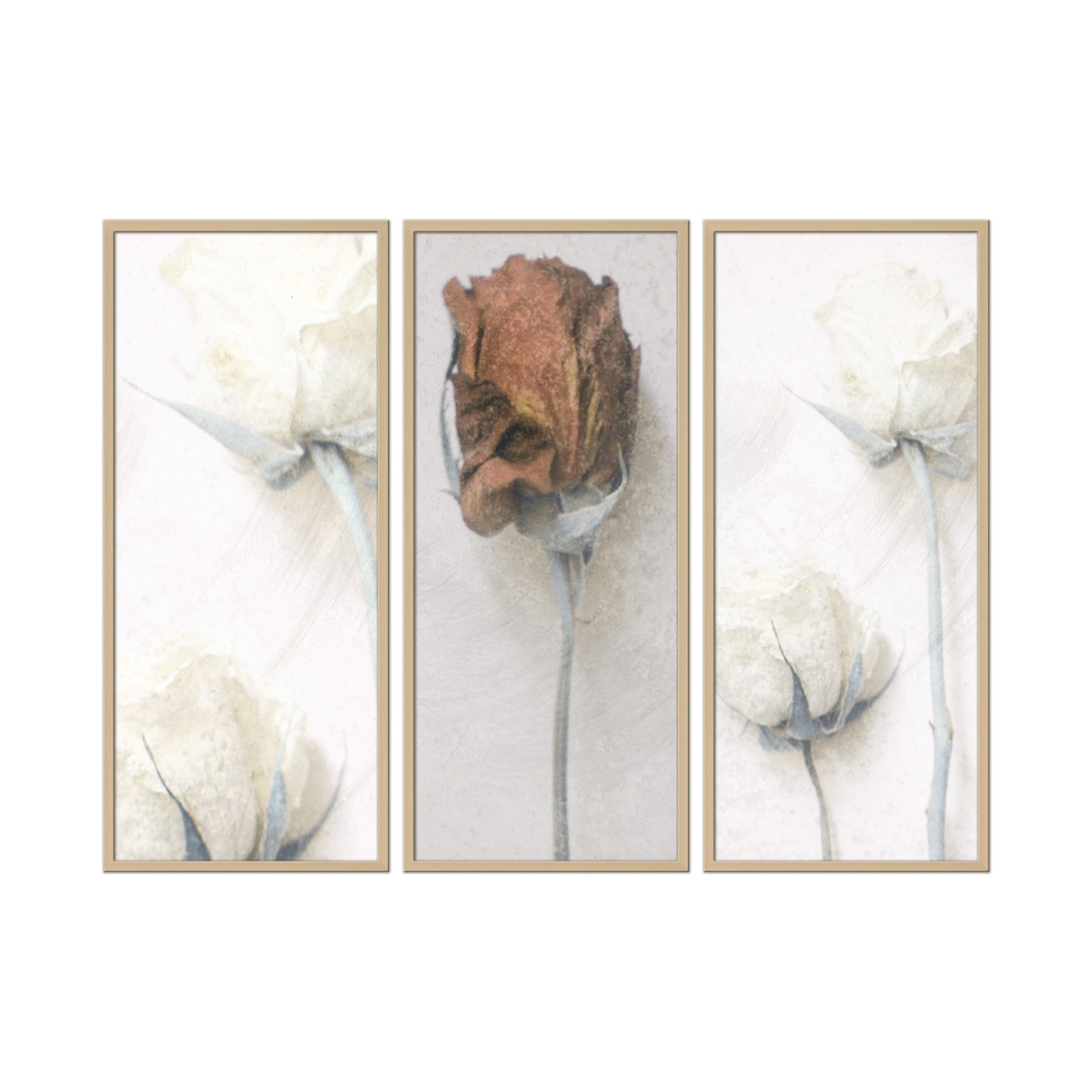 Memories Of Modest Emotion By Delphine Devos by Delphine Devos - 3 Piece  Single Picture Frame Print Set