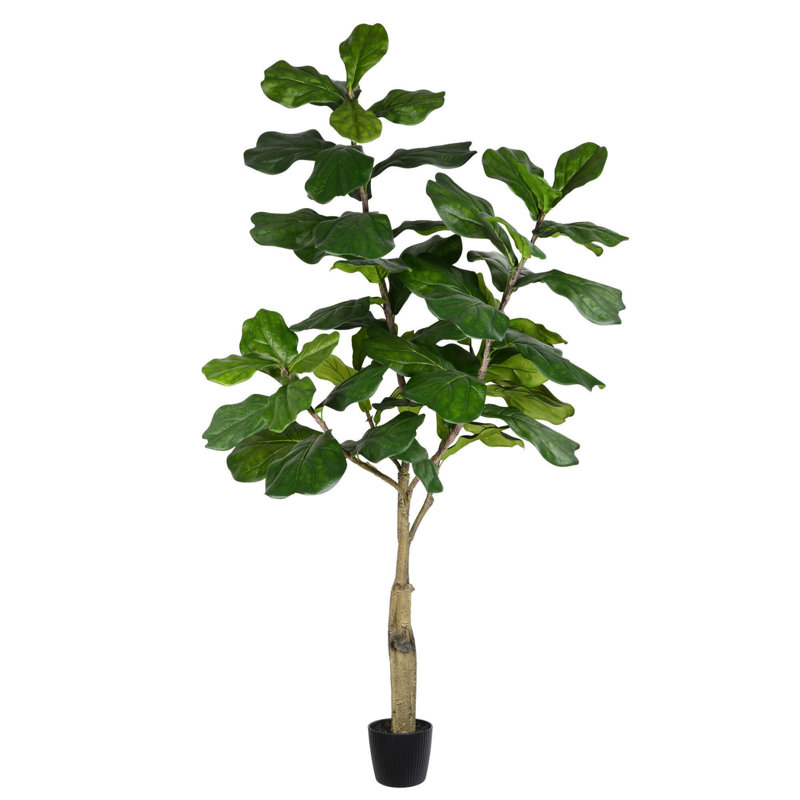 Artificial Potted Fiddle Tree., 72" H x 34" W x 34" D