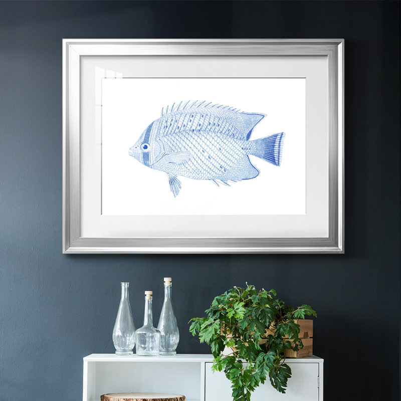 «Blue & White Tropical Fish III», reproduction d'art encadrée, H 30 po x l 44 po x P 1,5 po, Argent