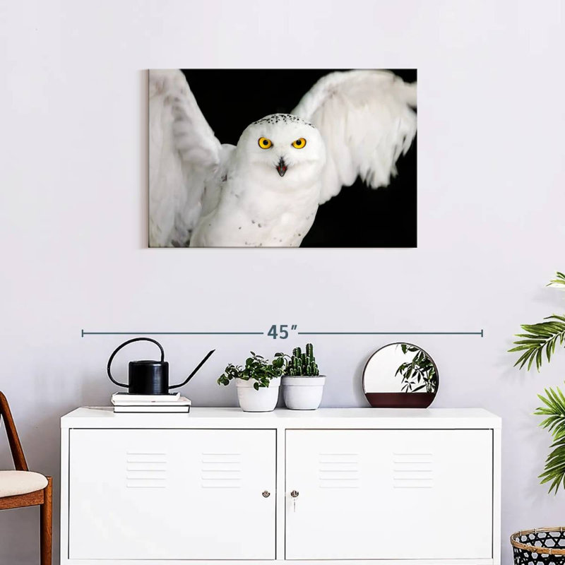 Brampt White Owl, 20" H x 30" W
