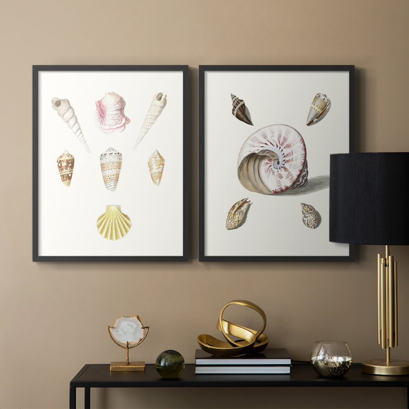 «Pastel Knorr Shells I», reproduction encadrée de qualité supérieure - prête à être accrochée - aucun clou requis - aucun clou requis