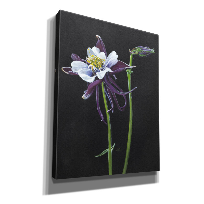 «Blossom» par Barbara Keith, art mural sur toile, 26 po x 34 po, H 34 po x l 26 po x P 1,5 po