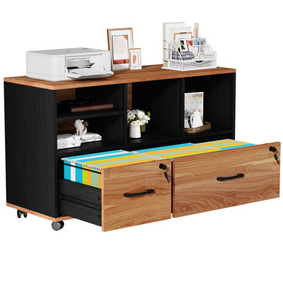 File Cabinet With 2 Drawers, Farmhouse Filing Cabinet With Lock For Home Office For Letter/a4 Size, Wood File Storage Cabinets Printer Stand, Office F by Ophelia & Co.