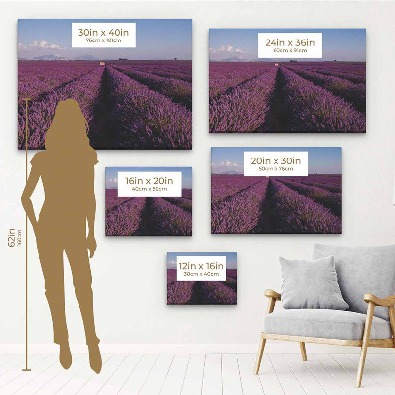 Faunsdale - lavande mauve - reproduction sur toile, Cadre flottant blanc, H 20 po x l 30 po
