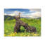 Wall Art on Canvas-441172420