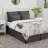 Polyester Sham Set-839957460