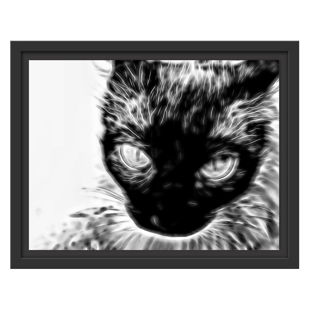 Gerahmtes Wandbild Schwarze Katze, Blaue Augen,