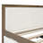 Upholstered Daybed With Trundle And Nailhead Decoration, Guest Bed