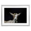 «Goat Face over Black», reproduction encadrée sous verre, design par Amy Carroll-1447965405-1447965407