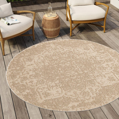 Indoor/Outdoor Traditional Area Rug