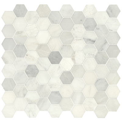Carreau de mosaïque en marbre poli 12 po x 12 po Greecian Iona Mist Hexagon