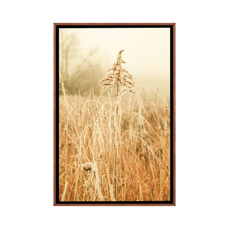 Nordic Winter III by Olivia Joy StClaire - Print on Canvas