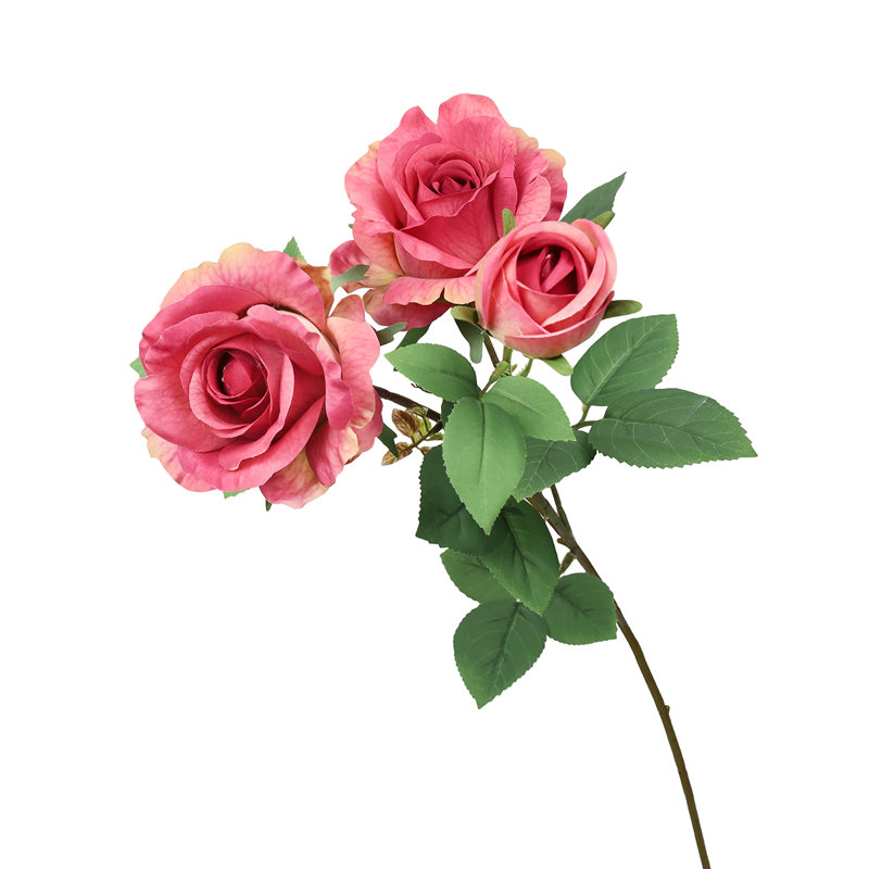 Fleur de sucre en aérosol, Rosé fuchsia