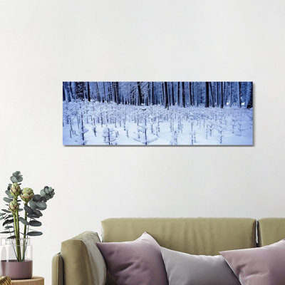 Snow Covered Trees On A Landscape, Yosemite Valley, Yosemite National Park, Mariposa County, California, USA by Panoramic Images - Panoramic Gallery-Wrapped Canvas Giclée on Canvas