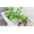 Lalana Plant Stand