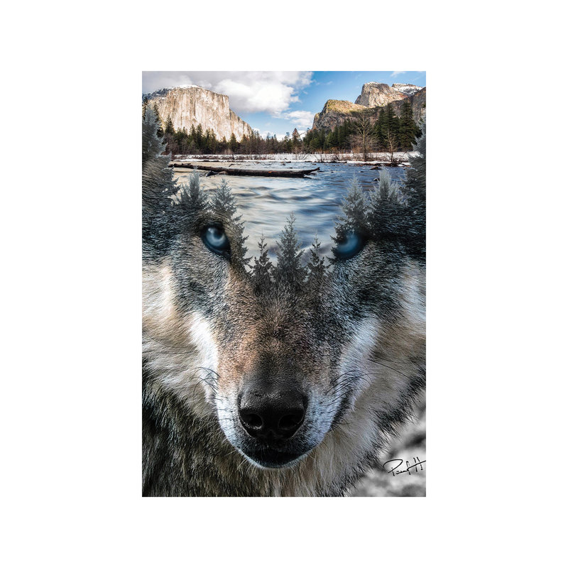 Wolf - Wrapped Canvas Print, 66.04 cm H x 45.72 cm W x 3.175 cm D