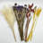 Real Preserved Mixed Bouquets Mix 4 Small - Med - Large-646765768
