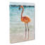 Lone Flamingo - Wrapped Canvas-56661285