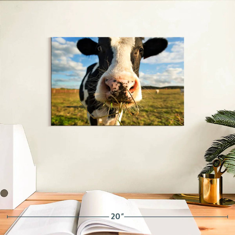Brampt Cow Selfie, 8" H x 12" W