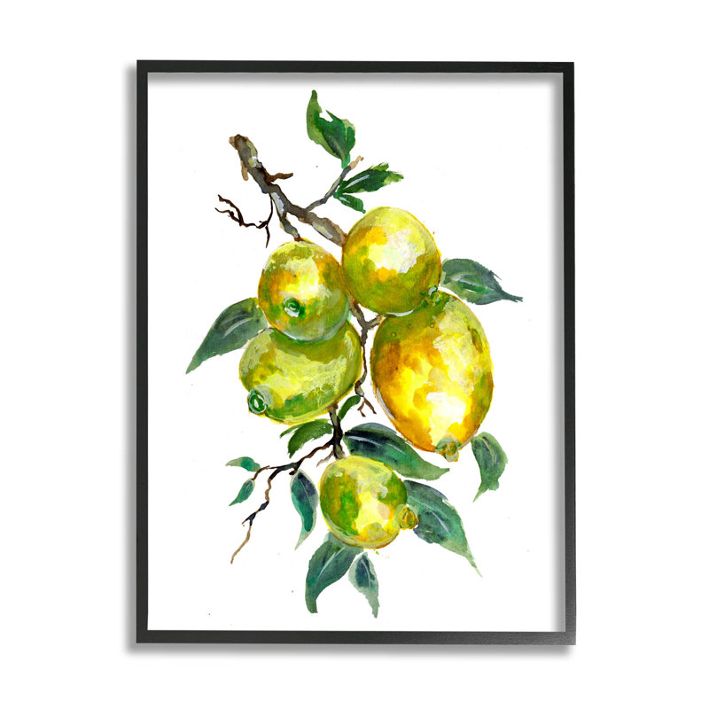 Citron, agrume, art giclée par Sebastian Grafmann, Giclée encadrée noir minuit, H 14 po x l 11 po x P 1,5 po