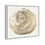 Legno Dorato due - peinture-55600640-55600644