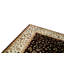 Oriental Indoor Rug